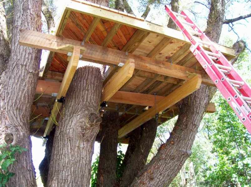Строим жилище на дереве 