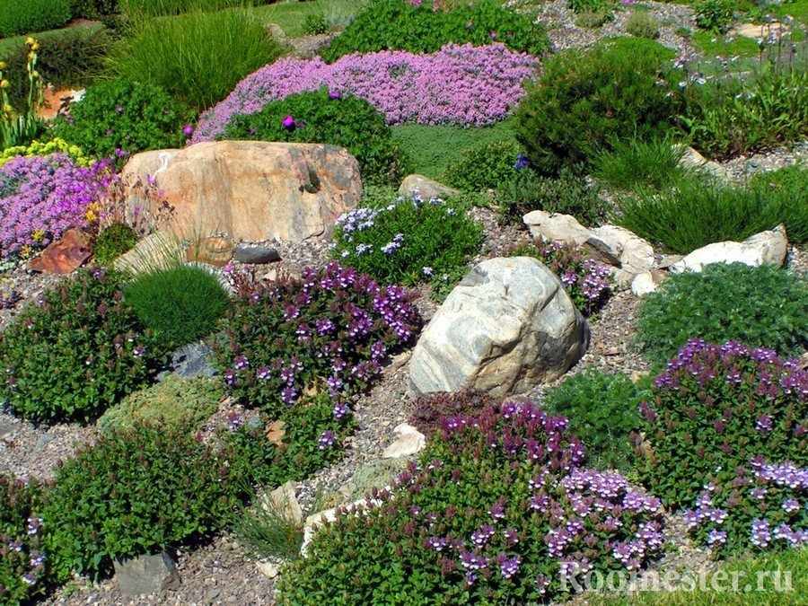 Интересное сочетание цветов и камней