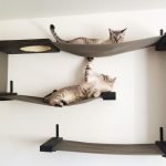 Настенные гамаки для кошек