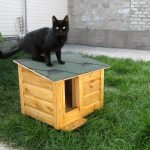 Черный кот на будке