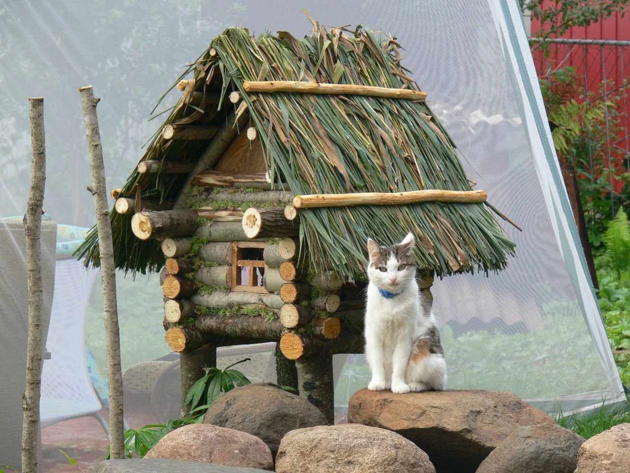 Самодельная будка для кошки