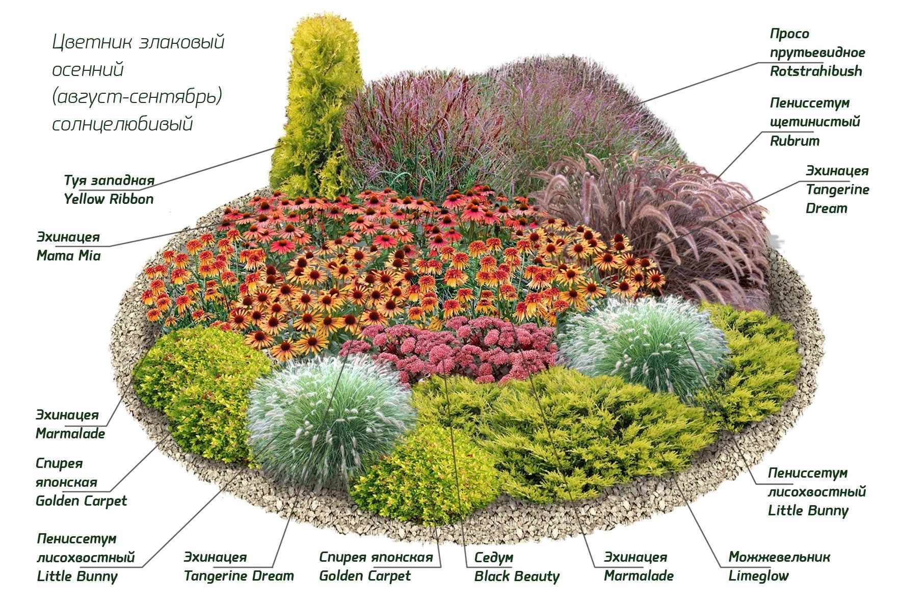 Схема круглой цветочной клумбы